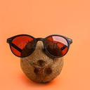 CoconutVibes Discord Bot Logo