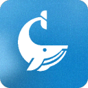 Aesthetic Whale Discord Bot Logo