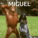 Miguel Monke Discord Bot Logo