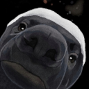 Nyter Discord Bot Logo