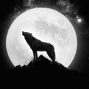 Lunar Discord Bot Logo