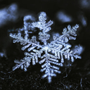 Snowflake Discord Bot Logo