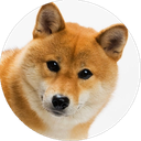 Wishlist Doggo Discord Bot Logo