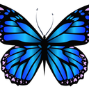 Butterfly Music Bot Discord Bot Logo