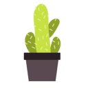 Cactus Discord Bot Logo