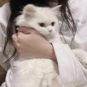 Yuko Discord Bot Logo