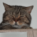 marlin Discord Bot Logo