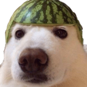 Kim Musica Discord Bot Logo
