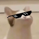 Pop Cat Discord Bot Logo