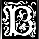 BerkayBOT Discord Bot Logo