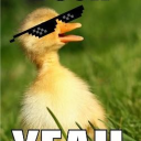 Quacky Beats - O Discord Bot Logo