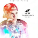 ◢ ◤ RIP Tim Bergling Discord Bot Logo