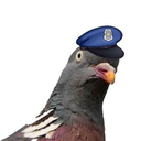 PoliciaV2 Discord Bot Logo