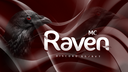 Raven Network Discord Server Banner