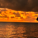 Knowzyys' Family Discord Server Banner