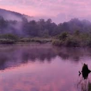 Lavender Lake Discord Server Banner