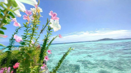 sapphic seasons 𓂂 ˚﹒🌺 Discord Server Banner