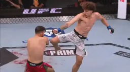 UFC Official Server Discord Server Banner