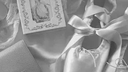 ꒰ა ﹒cherie  ⸝⸝ Discord Server Banner