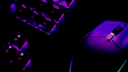 ⚡ Rayou Family Discord Server Banner