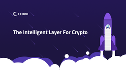 Cedro Finance Discord Server Banner