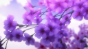 Логово Ниффокса Discord Server Banner