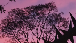/Boishaki™ Discord Server Banner