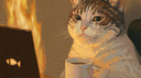 Dyethrow PIXEL Discord Server Banner