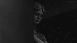 / rottin Discord Server Banner