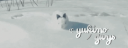 𑣲 ノyukino       ੭   .   snowstorm Discord Server Banner
