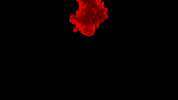 🔴 Red Eagle 🦅 Discord Server Banner