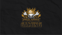 CH Gaming Discord Server Banner