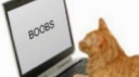 meme Discord Server Banner