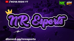 NR Esports Discord Server Banner