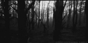 Lᴏʟʟɪᴘᴏᴘ Cʏᴀɴɪᴅᴇ Discord Server Banner