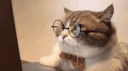 ME VIET HOA . COM Discord Server Banner
