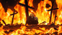 AniZone Discord Server Banner