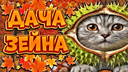 🍁〡Дача Зеина〡🍂 Discord Server Banner