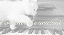 𓋹  doll tomb ˙⟡ Discord Server Banner