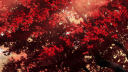 Twilight Discord Server Banner