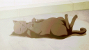 Пушистыи Краи Discord Server Banner