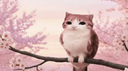 Nightbloom Discord Server Banner