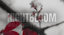 Nightbloom Discord Server Banner