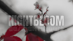 Nightbloom Discord Server Banner