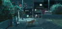 XOLN Discord Server Banner