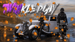 TWINKLE Play DayZ PVE Discord Server Banner
