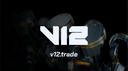 V12 Discord Server Banner