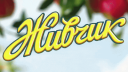 Живчик Discord Server Banner