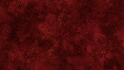 Kraken Cult Discord Server Banner