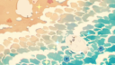 make friends 🫂 Discord Server Banner